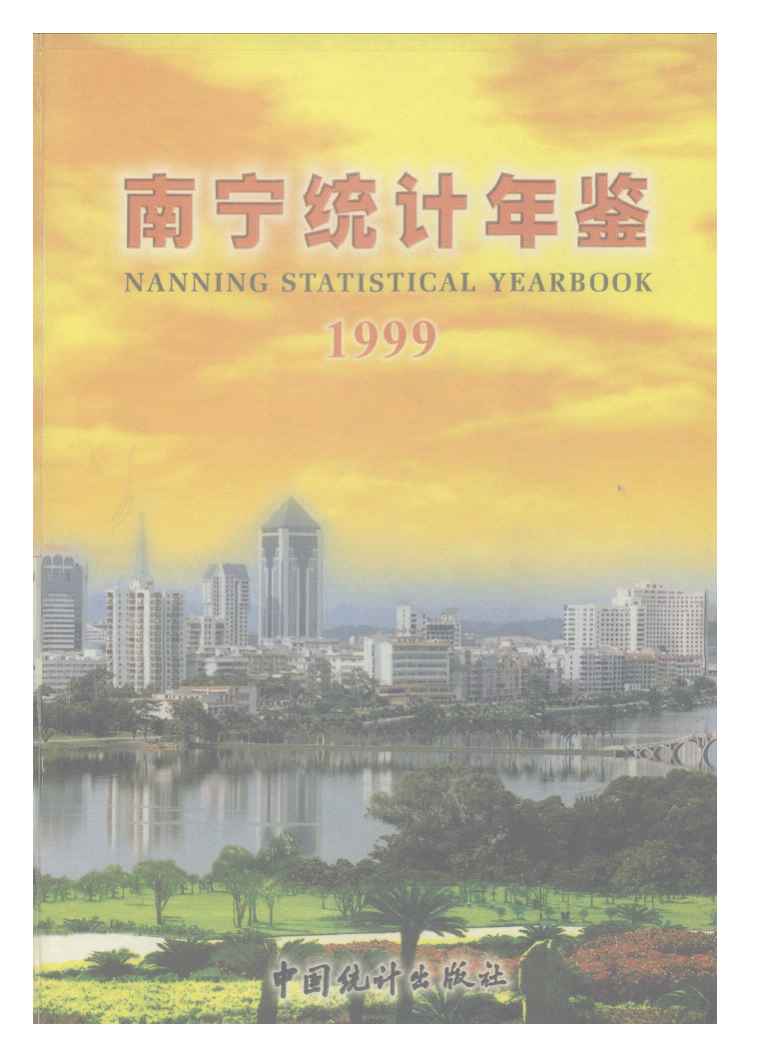 1999年南宁统计年鉴封面