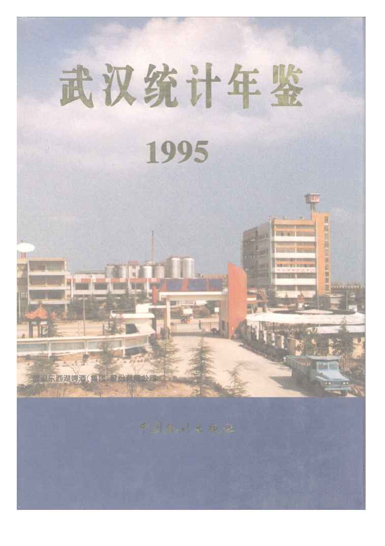 1995年武汉统计年鉴封面