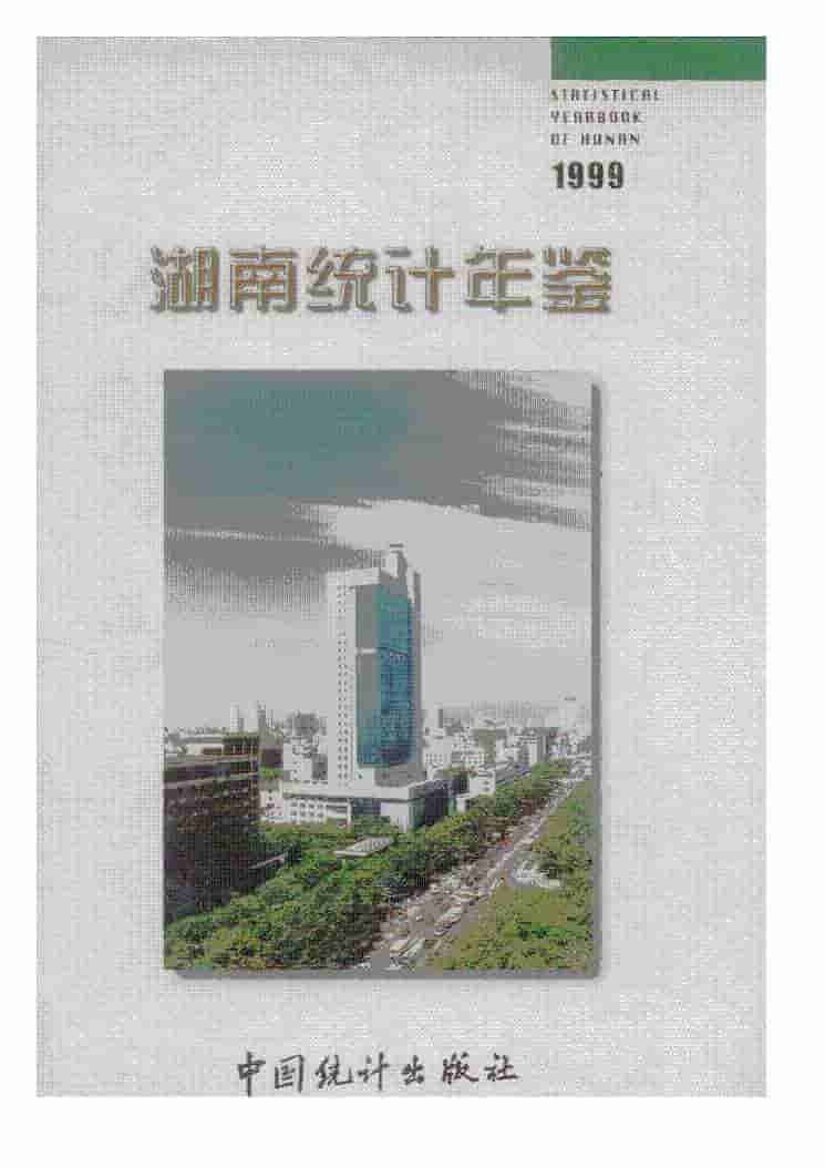 1999年湖南统计年鉴封面