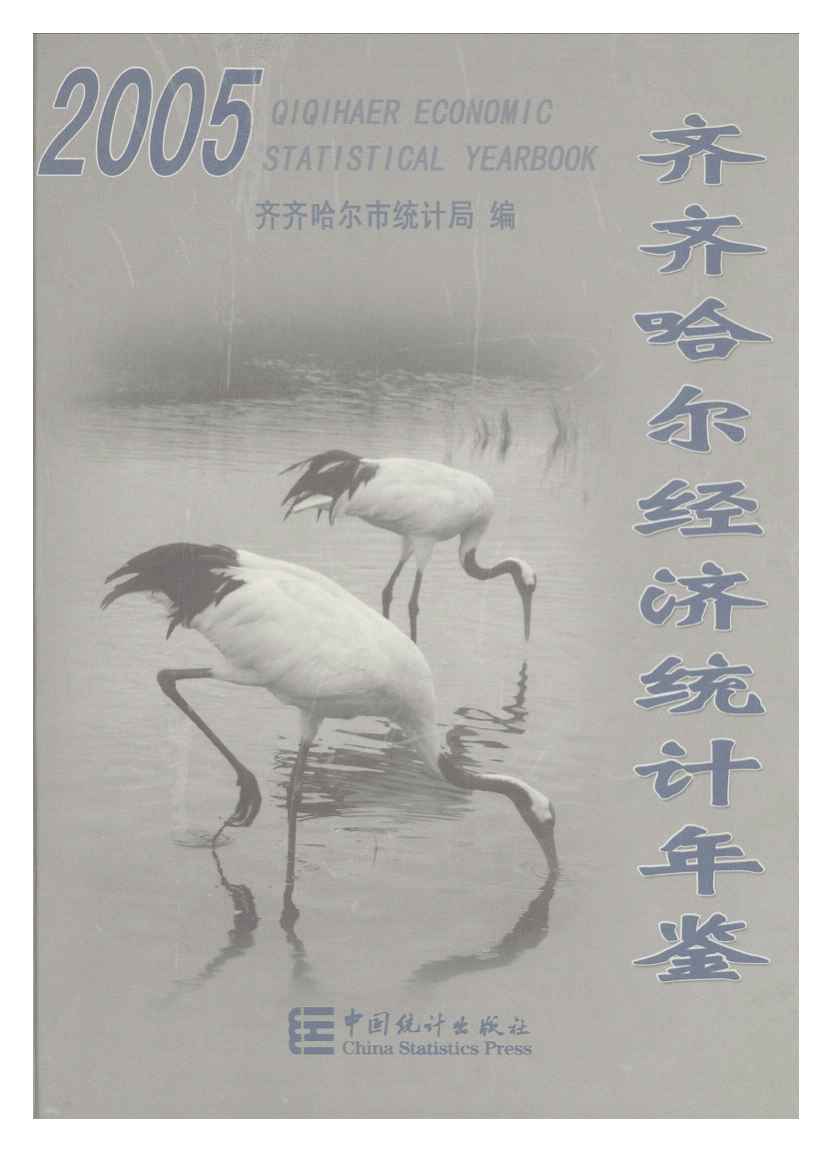 2005年齐齐哈尔经济统计年鉴封面