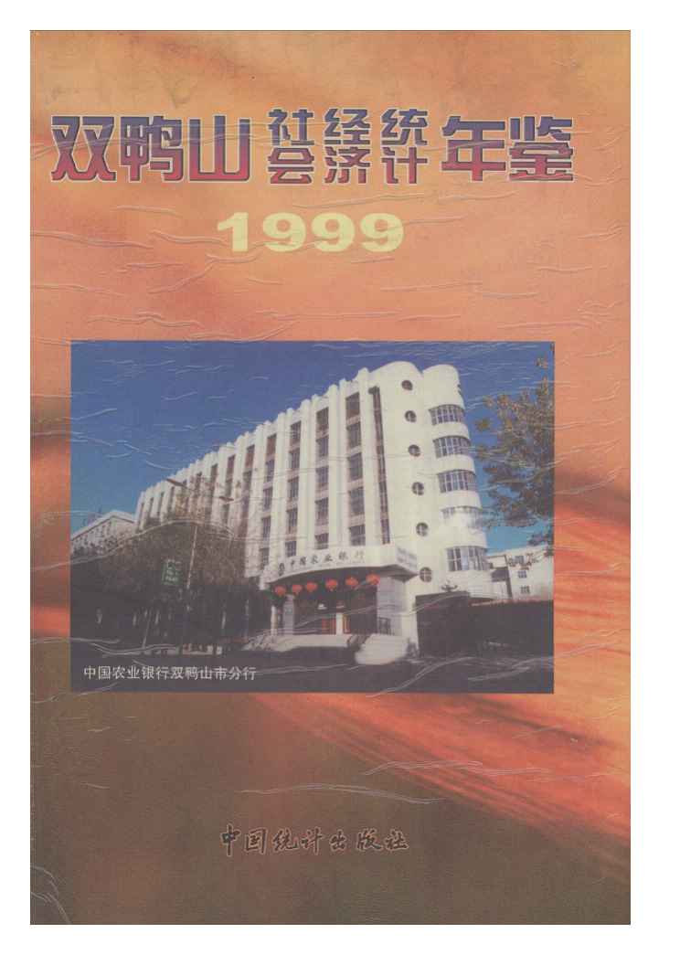 1999年双鸭山社会经济统计年鉴封面