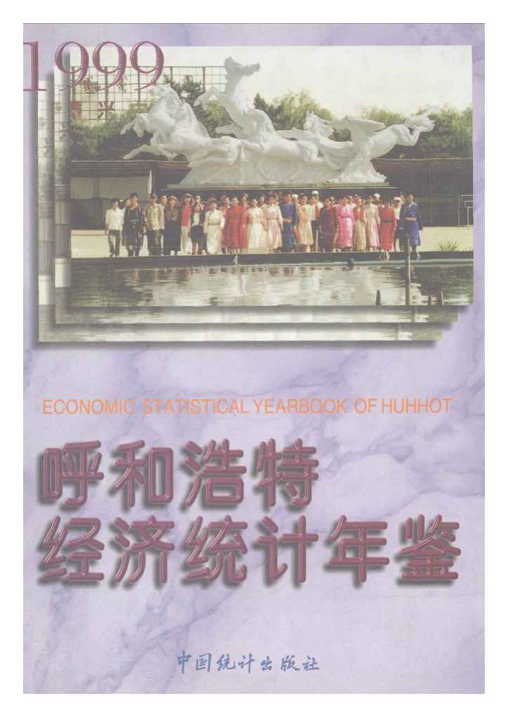 1999年呼和浩特经济统计年鉴封面
