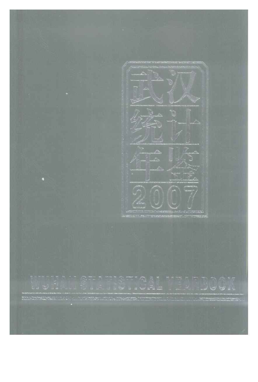 2007年武汉统计年鉴封面