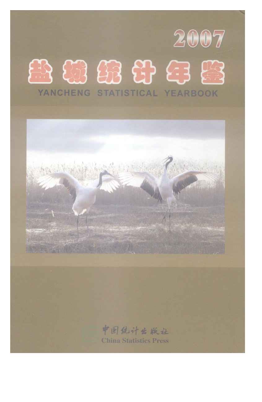 2007年盐城统计年鉴封面