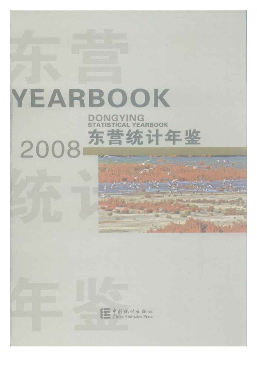 2008年东营统计年鉴封面