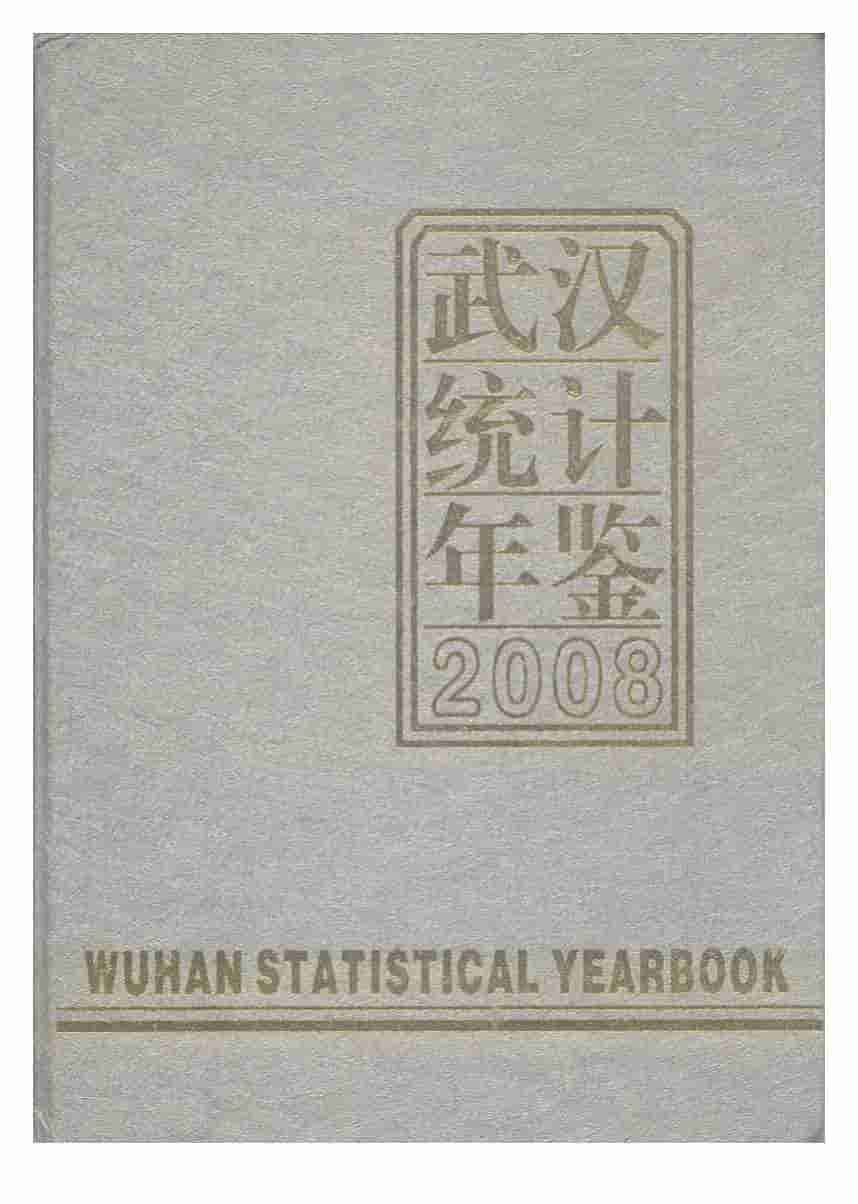 2008年武汉统计年鉴封面