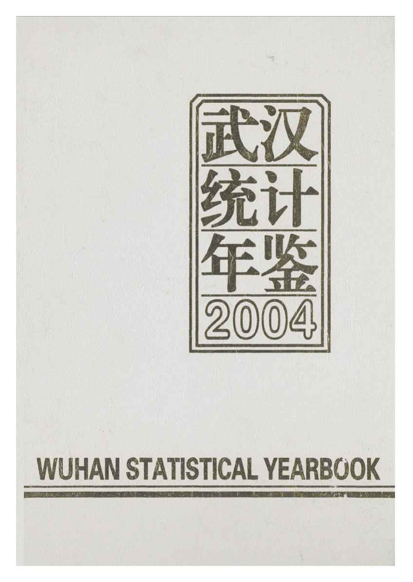2004年武汉统计年鉴封面