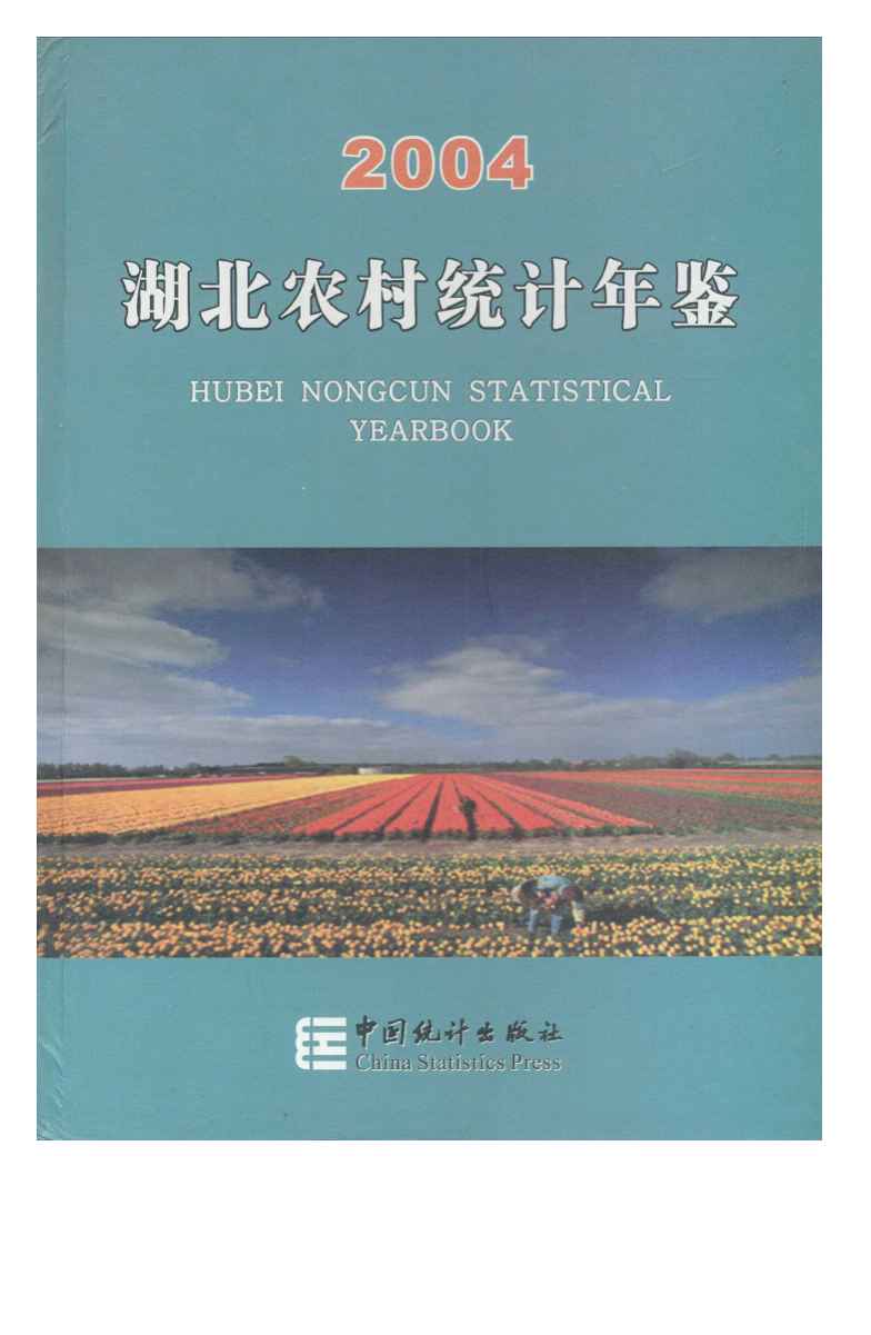 2004年湖北农村统计年鉴封面