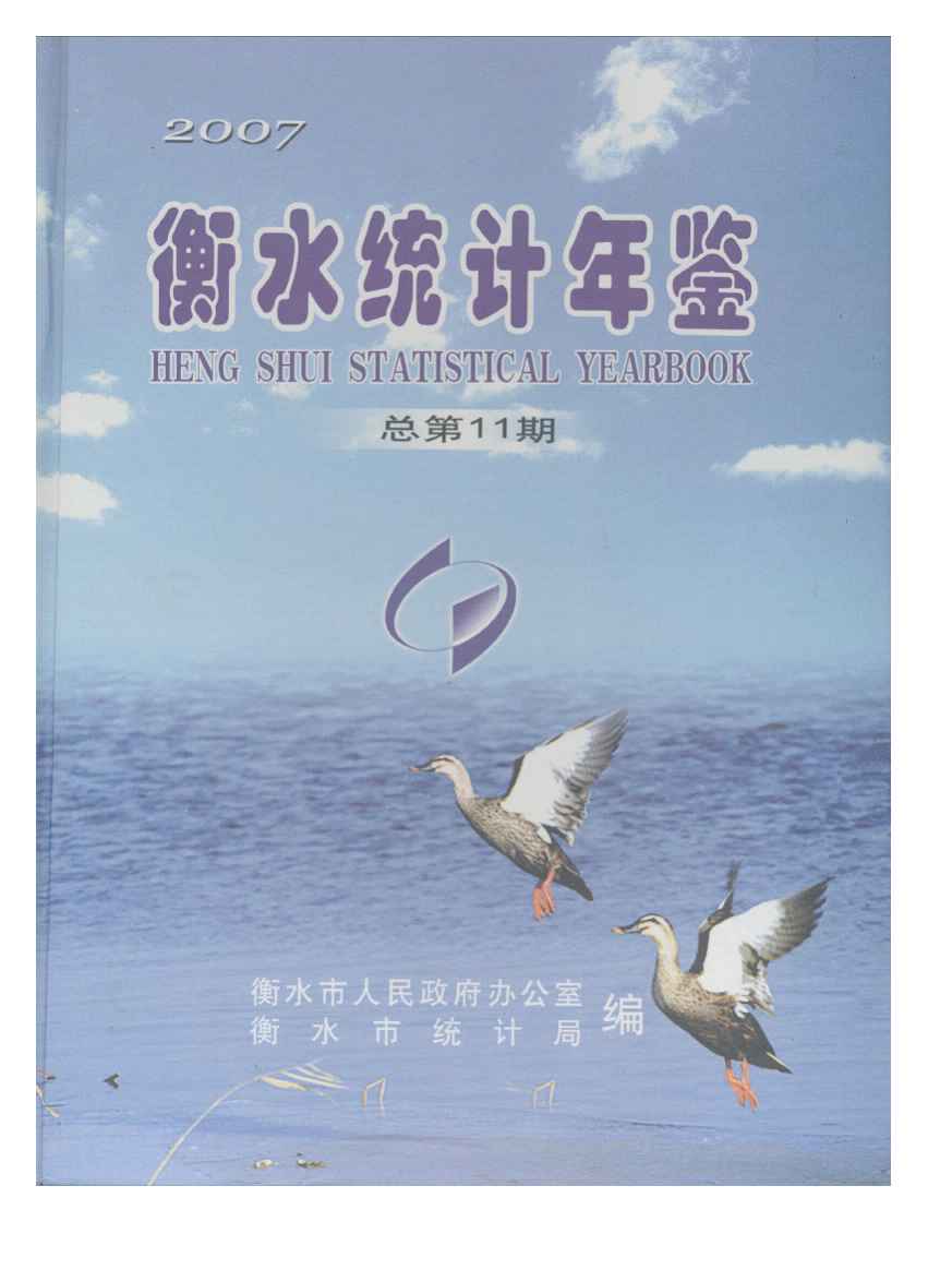 2007年衡水统计年鉴封面