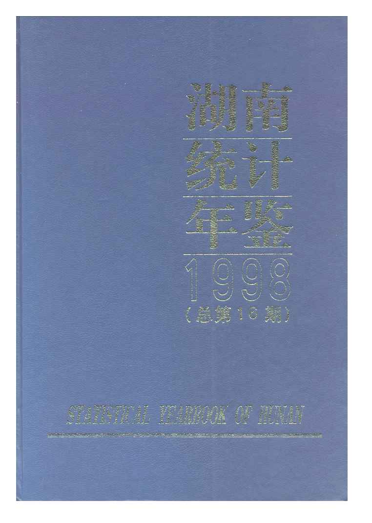 1998年湖南统计年鉴封面