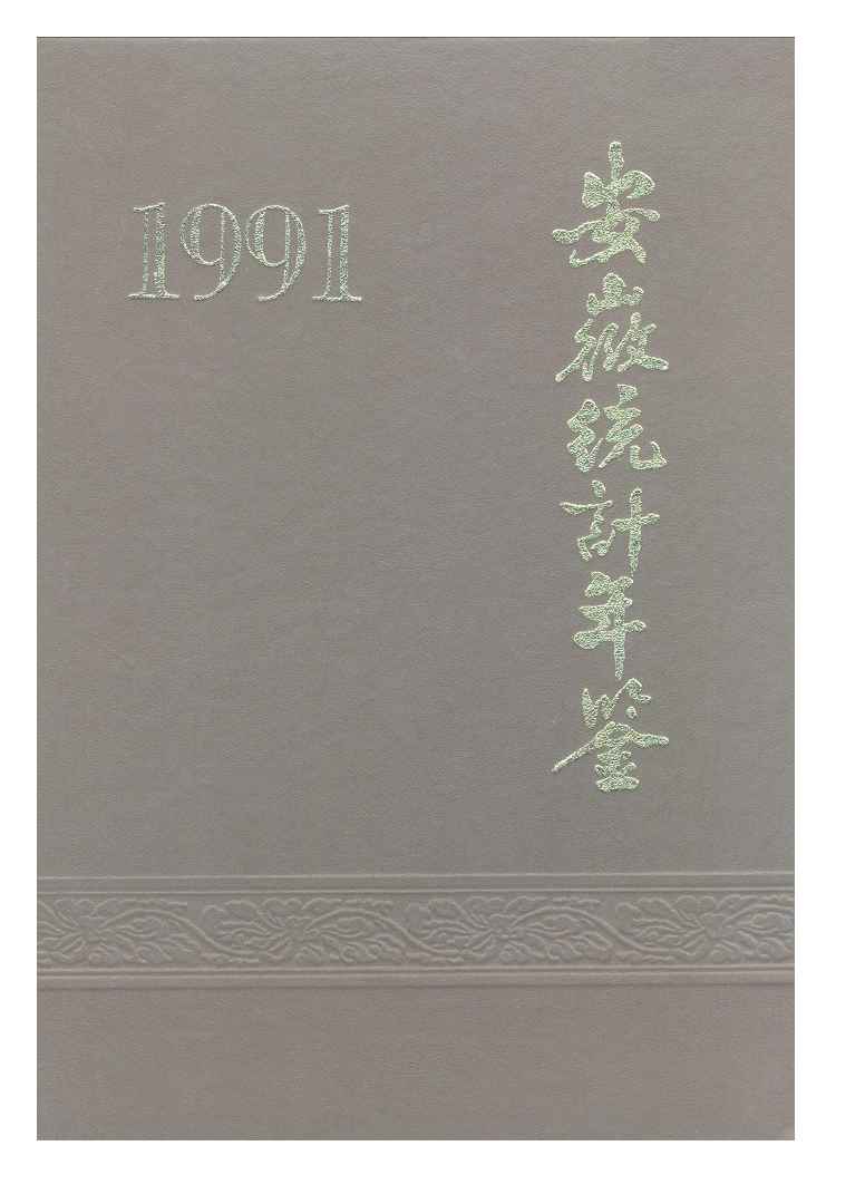 1991年安徽统计年鉴封面