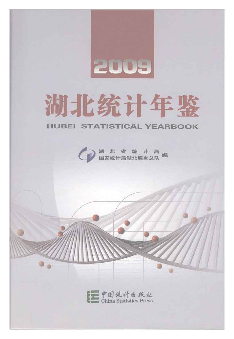 2009年湖北统计年鉴封面