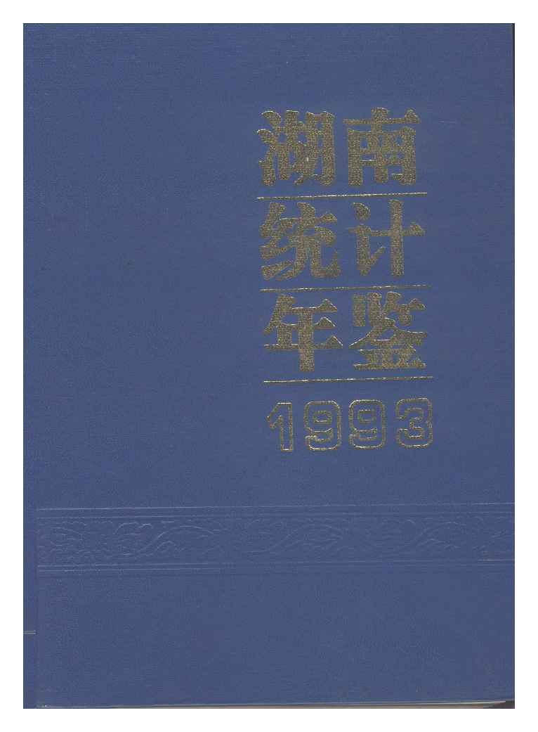 1993年湖南统计年鉴封面