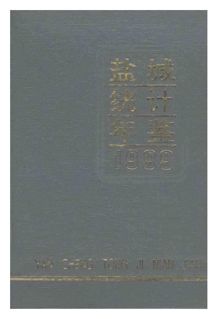 1999年盐城统计年鉴封面