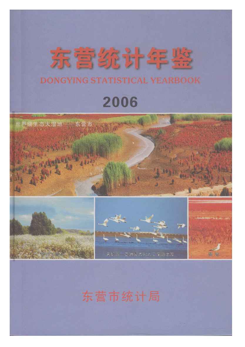 2006年东营统计年鉴封面