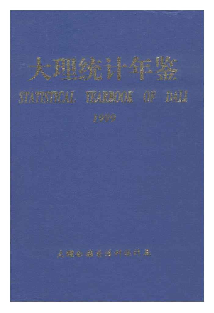 1999年大理统计年鉴封面