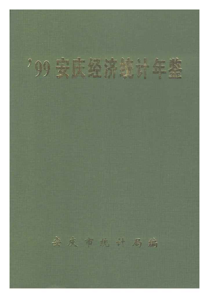 1999年安庆经济统计年鉴封面