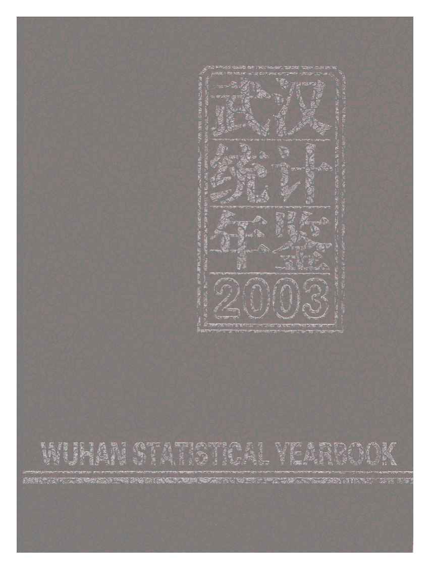 2003年武汉统计年鉴封面