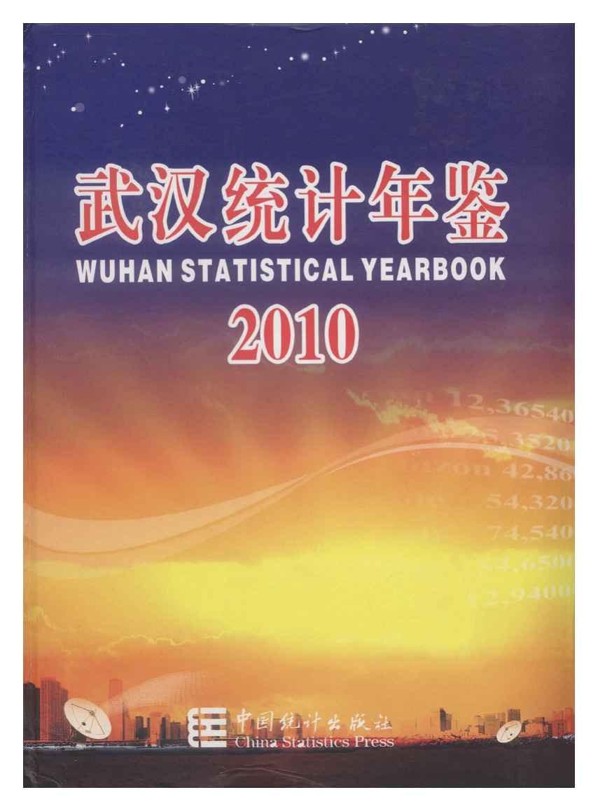 2010年武汉统计年鉴封面