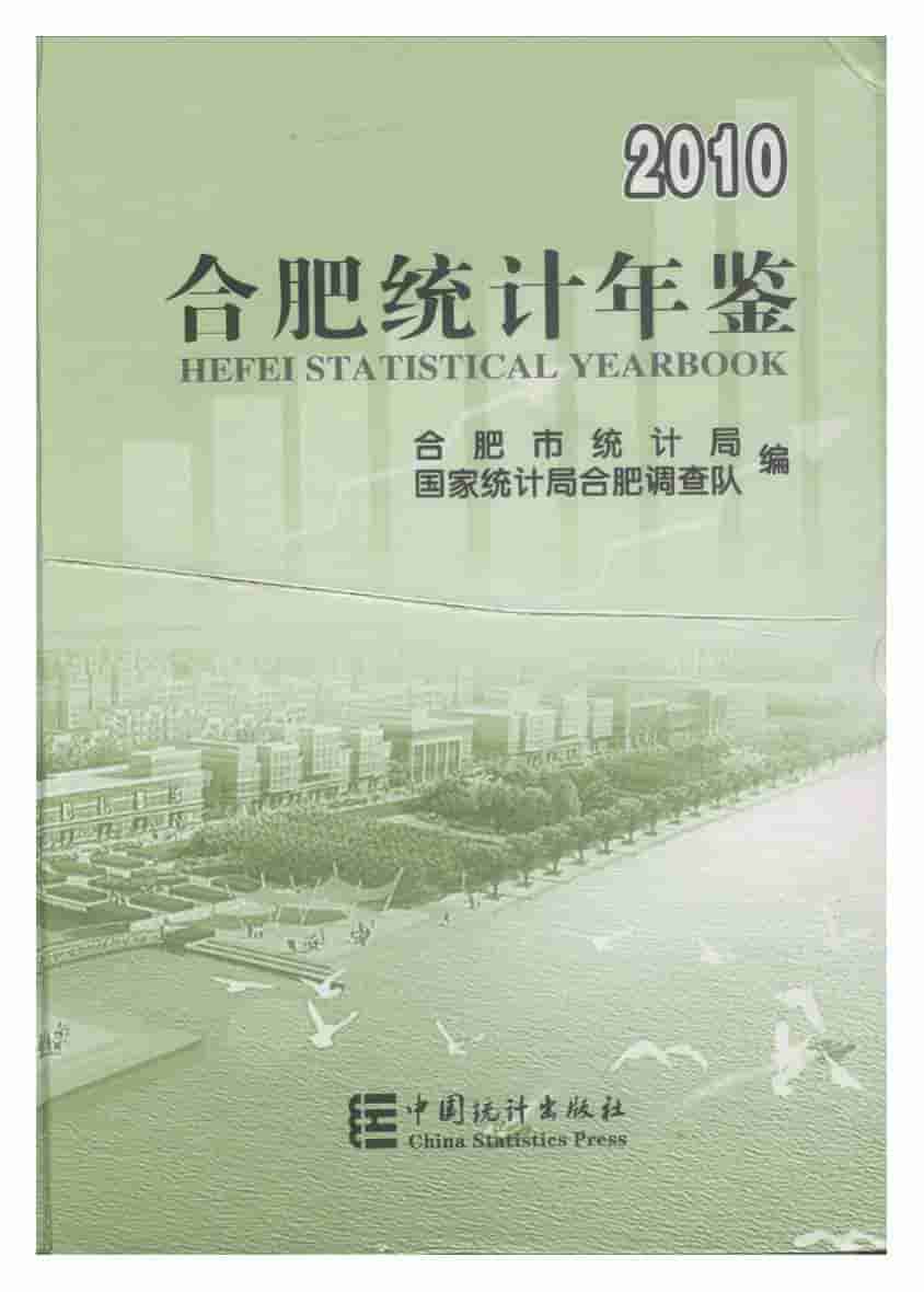2010年合肥统计年鉴封面