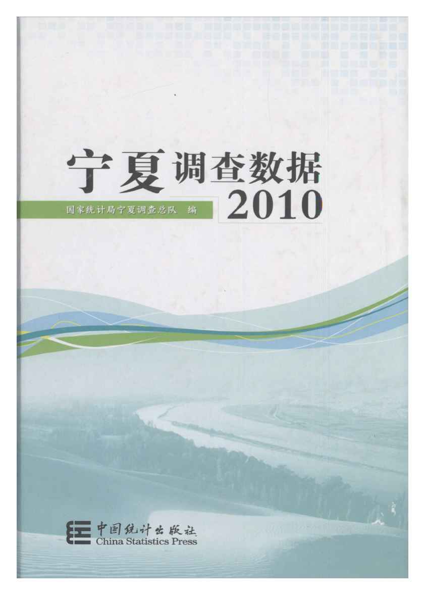 2010年宁夏调查数据封面