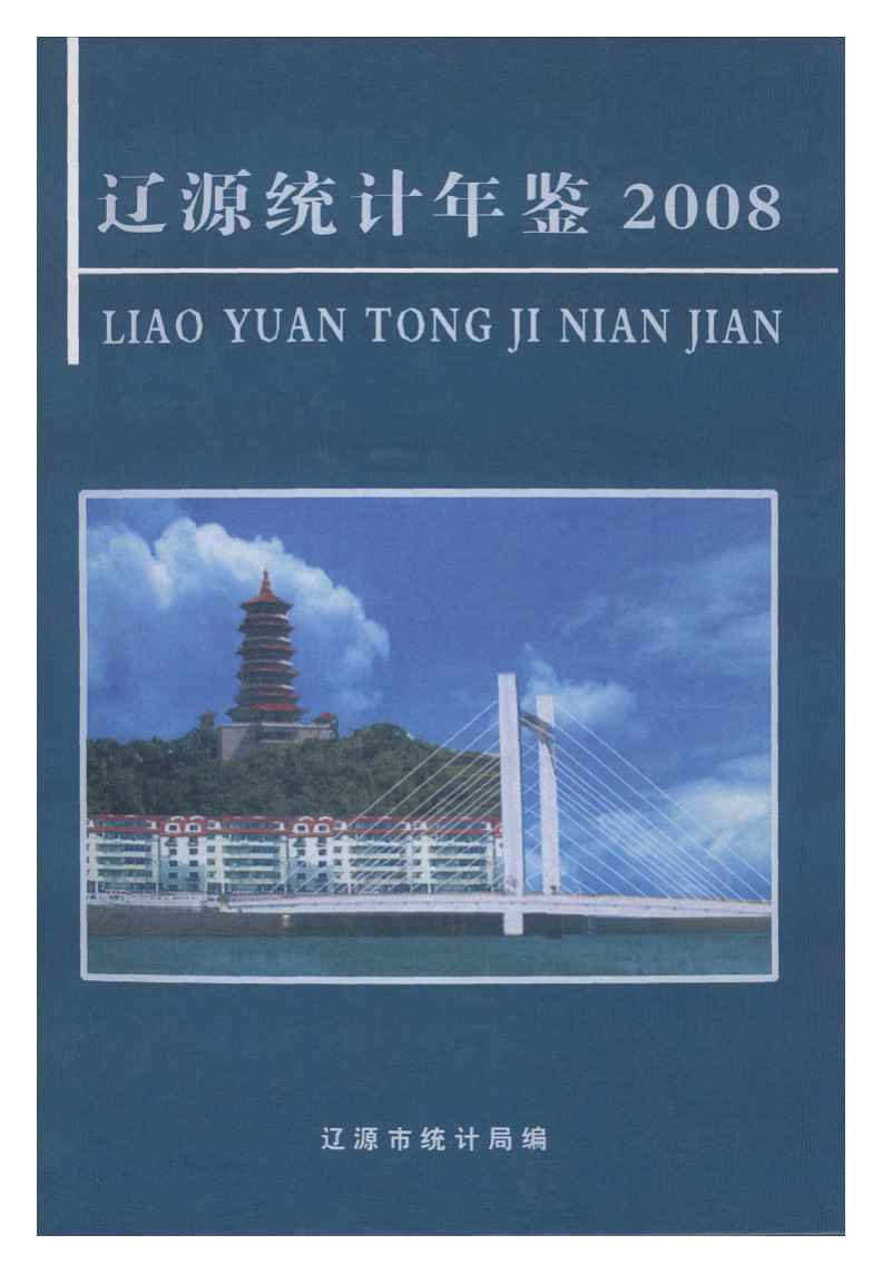 2008年辽源统计年鉴封面