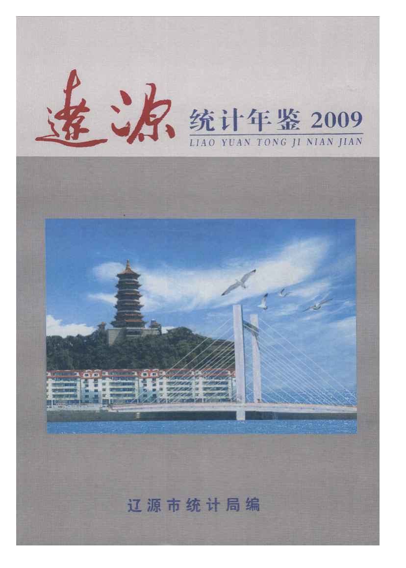 2009年辽源统计年鉴封面