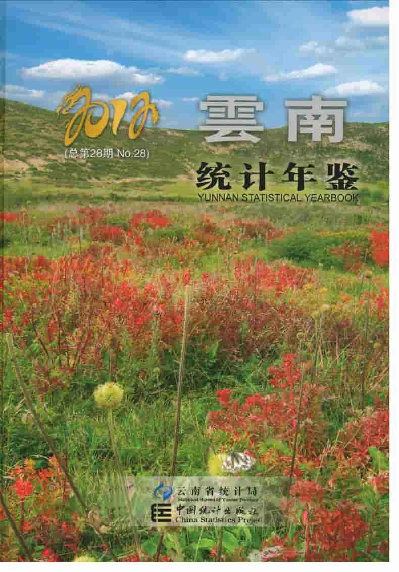 2012年云南统计年鉴封面