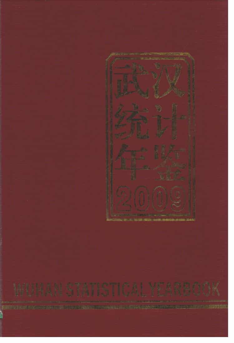 2009年武汉统计年鉴封面