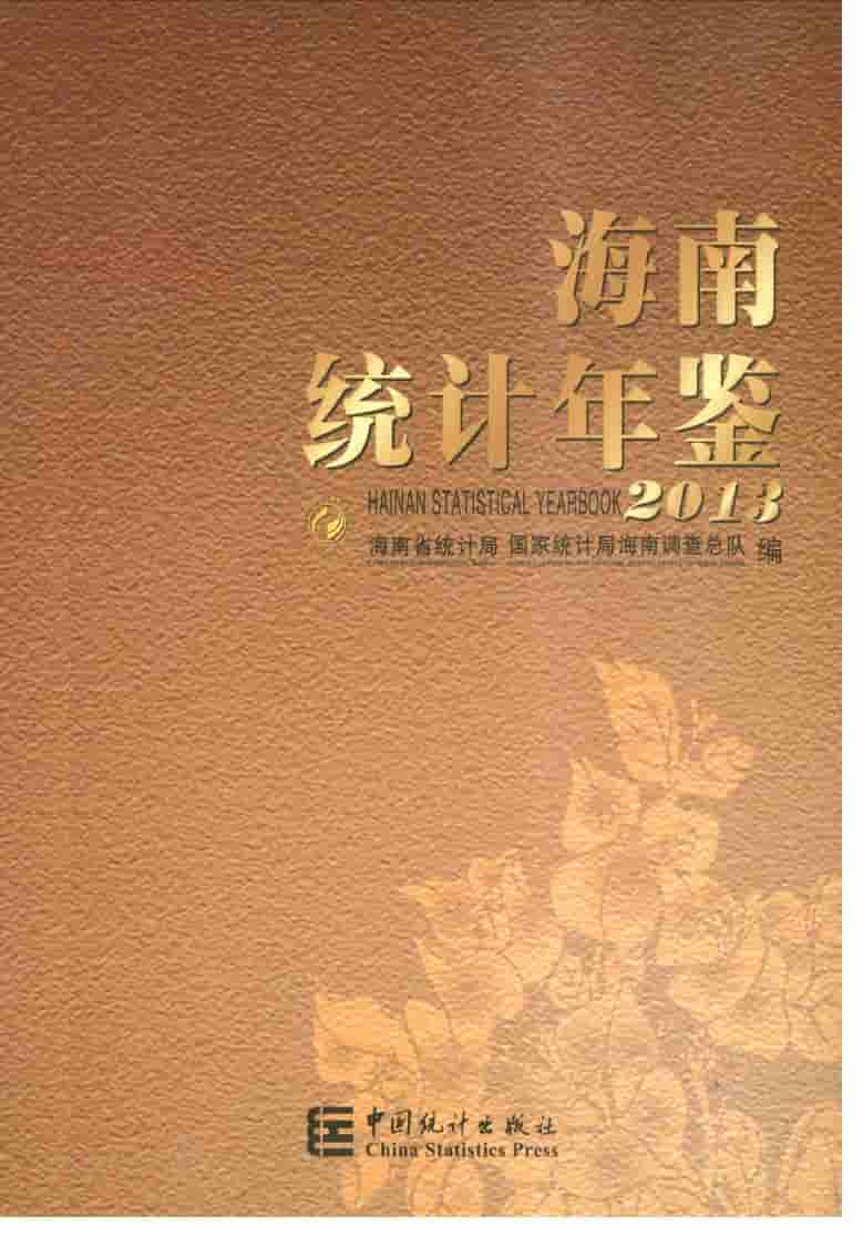 2013年海南统计年鉴封面