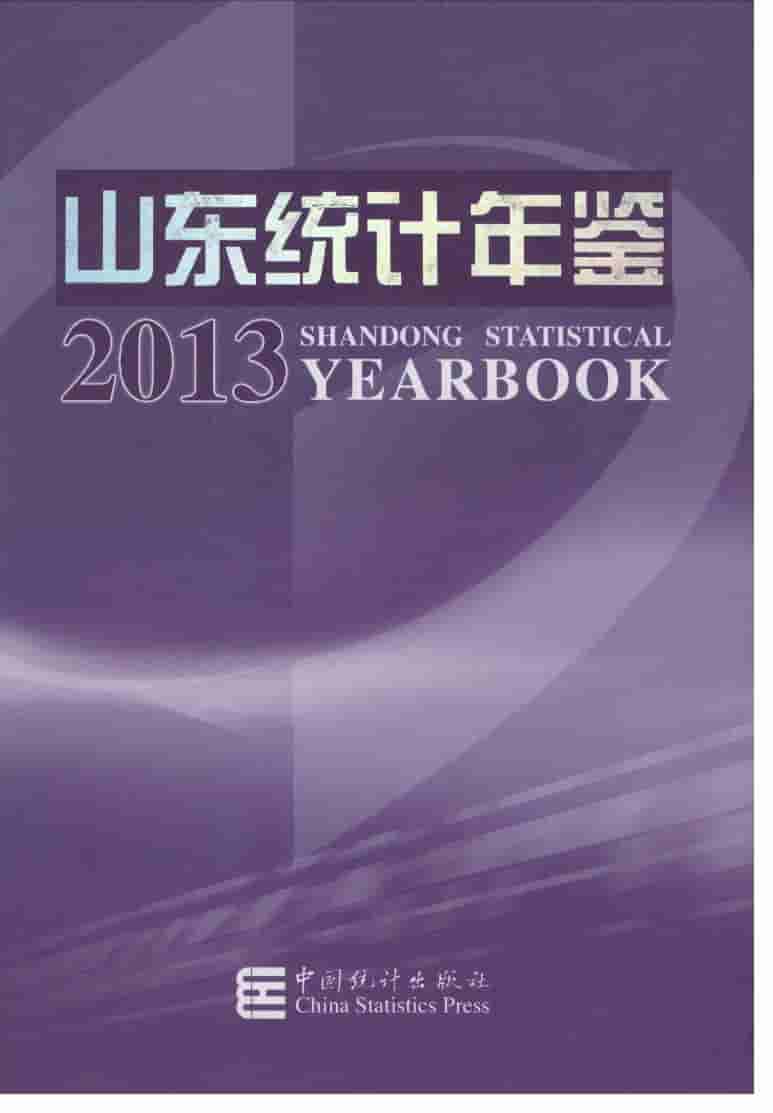 2013年山东统计年鉴封面