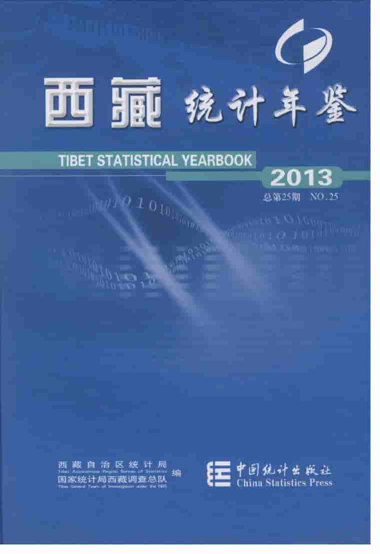 2013年西藏统计年鉴封面