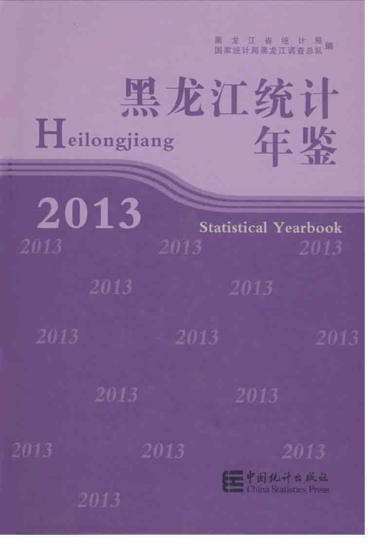 2013年黑龙江统计年鉴封面