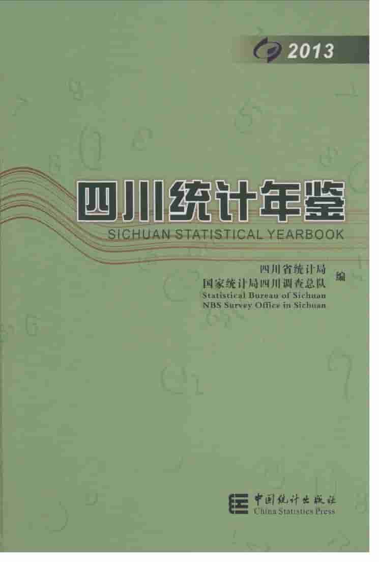 2013年四川统计年鉴封面