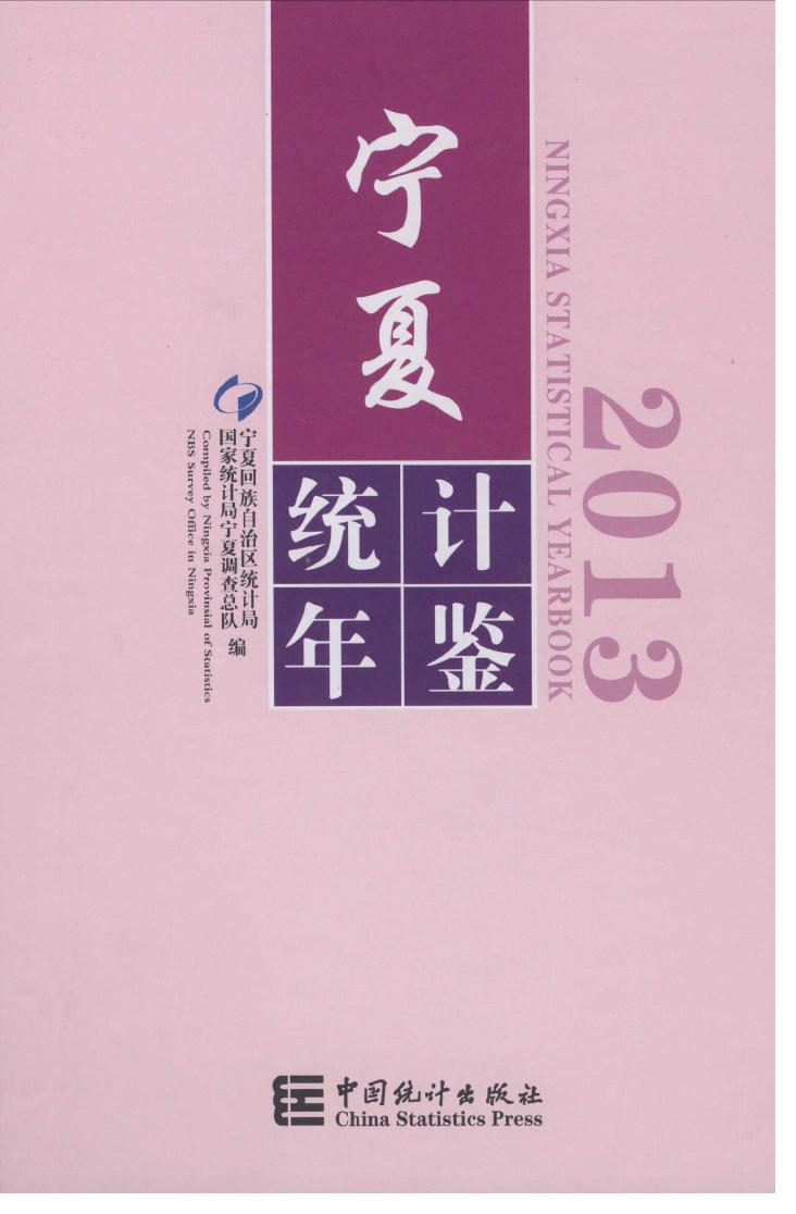2013年宁夏统计年鉴封面