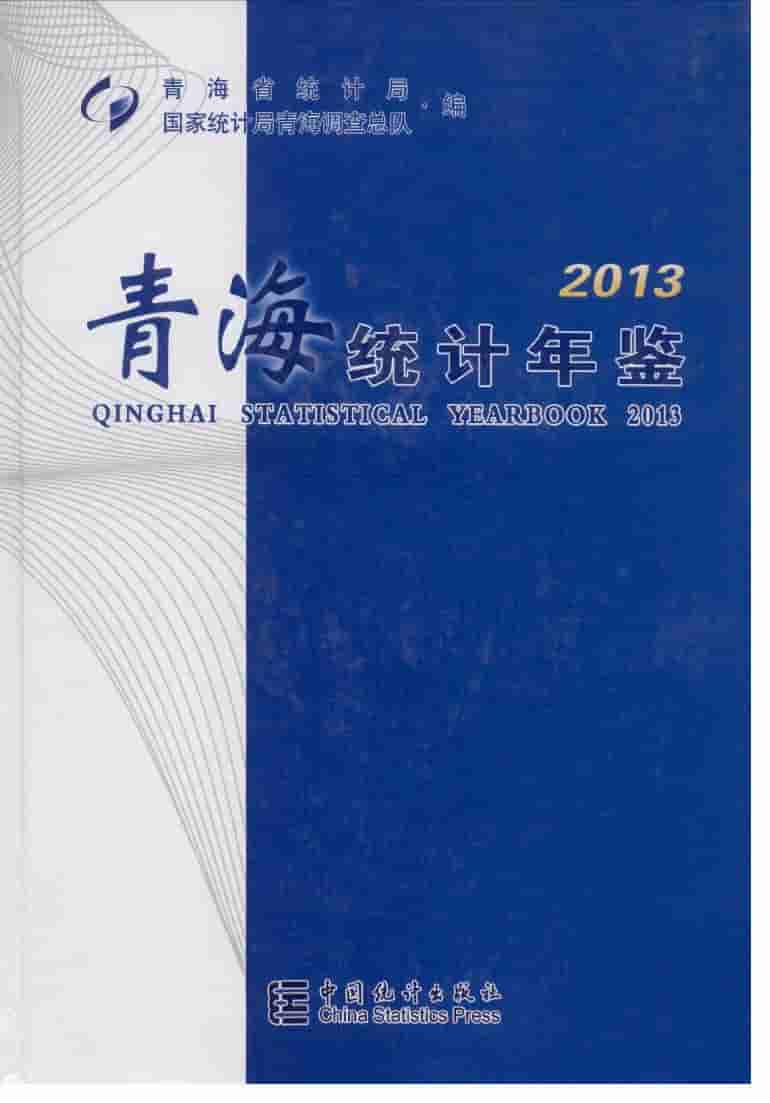 2013年青海统计年鉴封面
