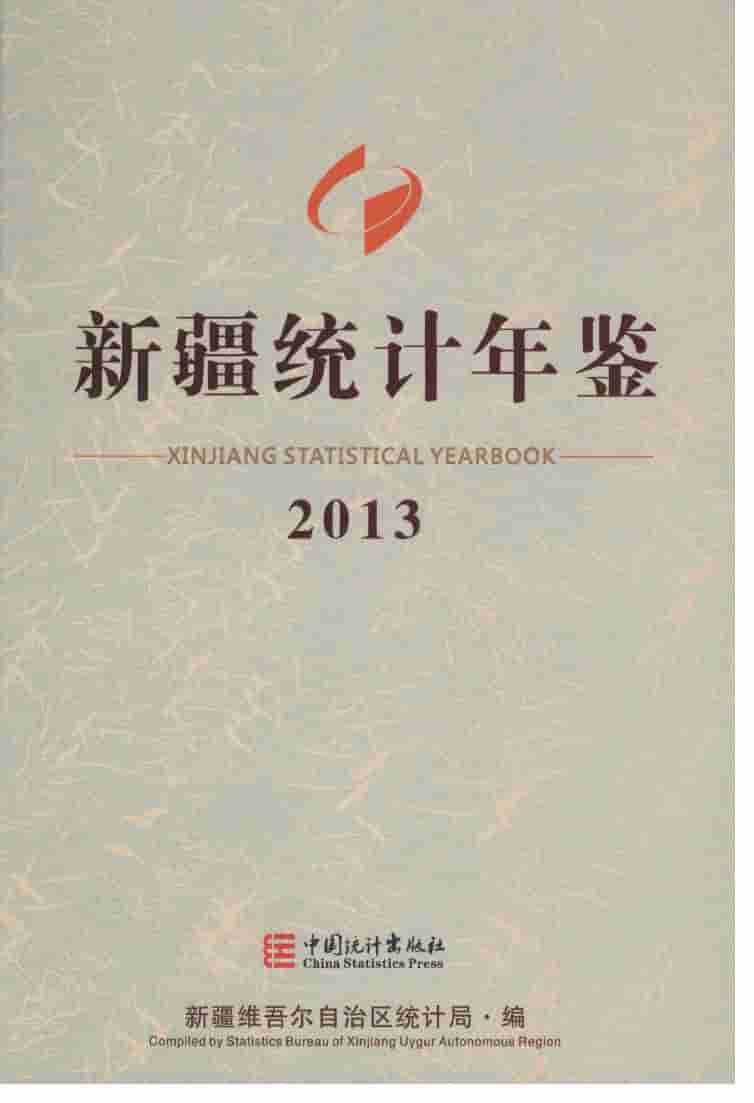 2013年新疆统计年鉴封面