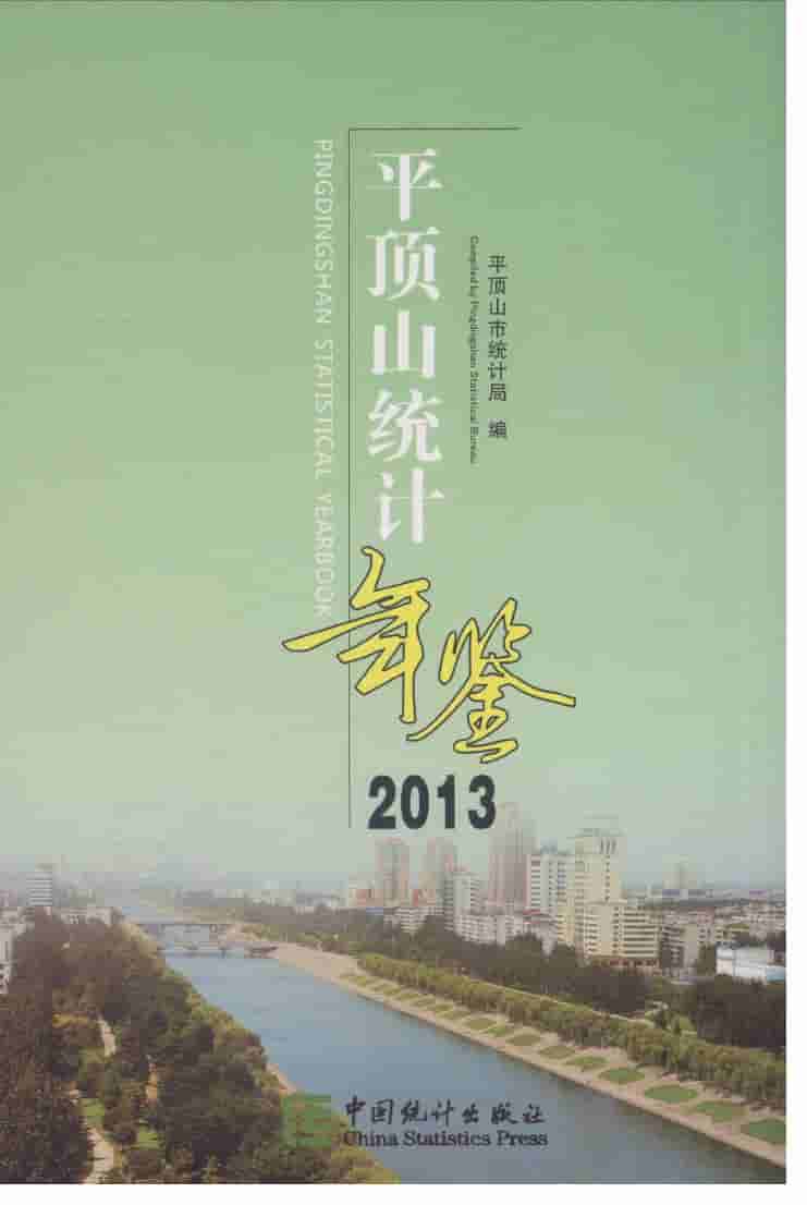 2013年平顶山统计年鉴封面