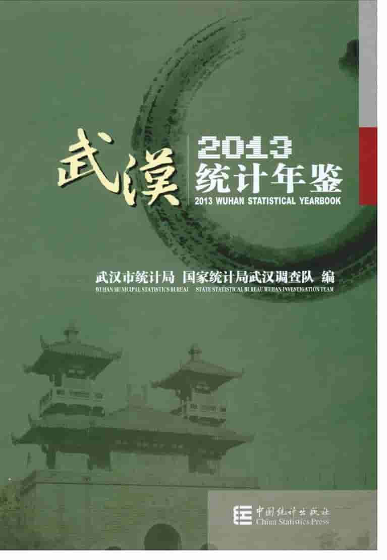 2013年武汉统计年鉴封面