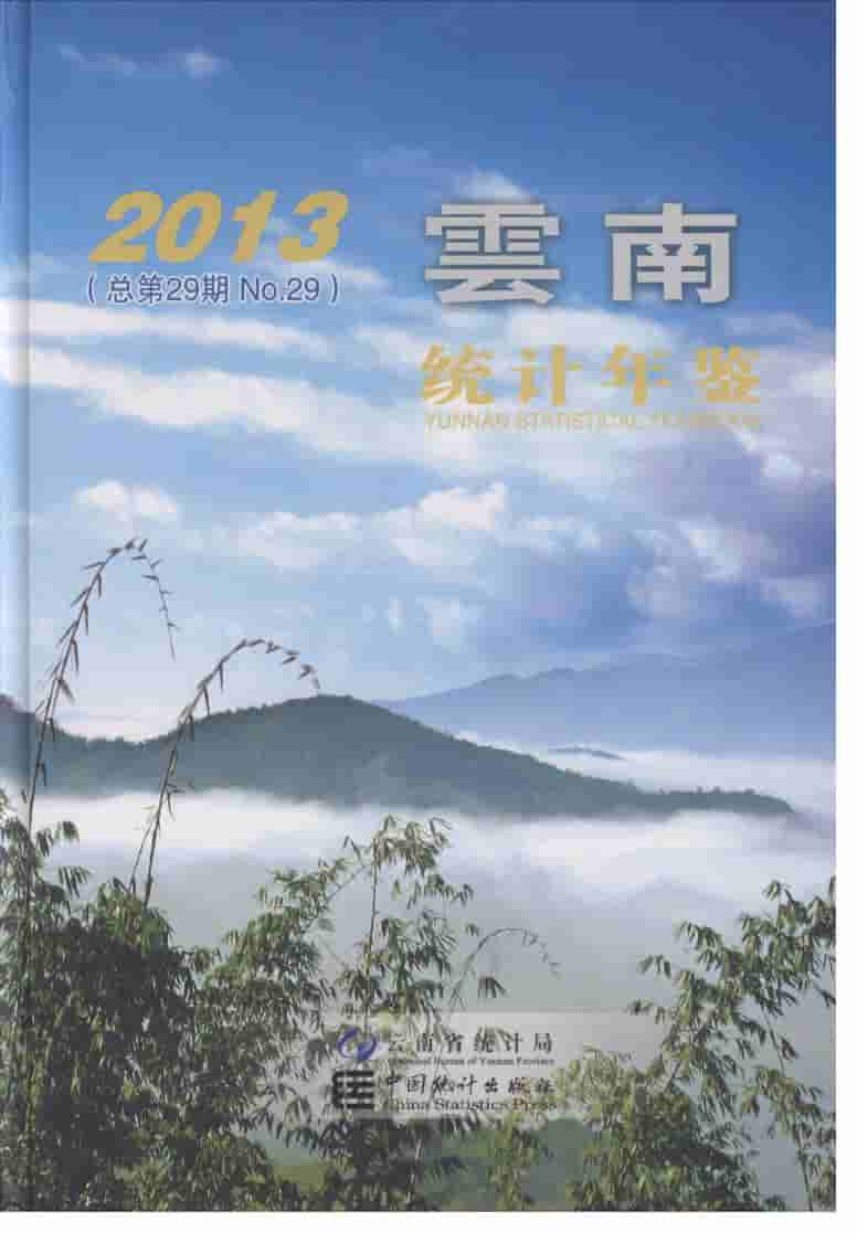2013年云南统计年鉴封面