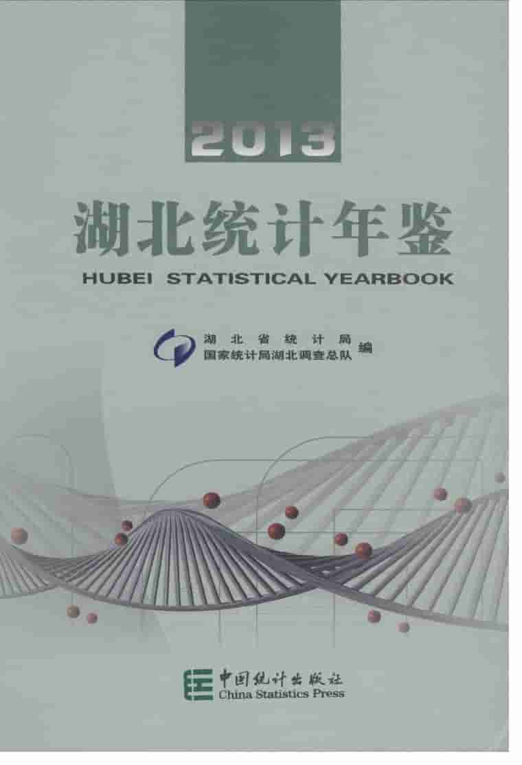 2013年湖北统计年鉴封面