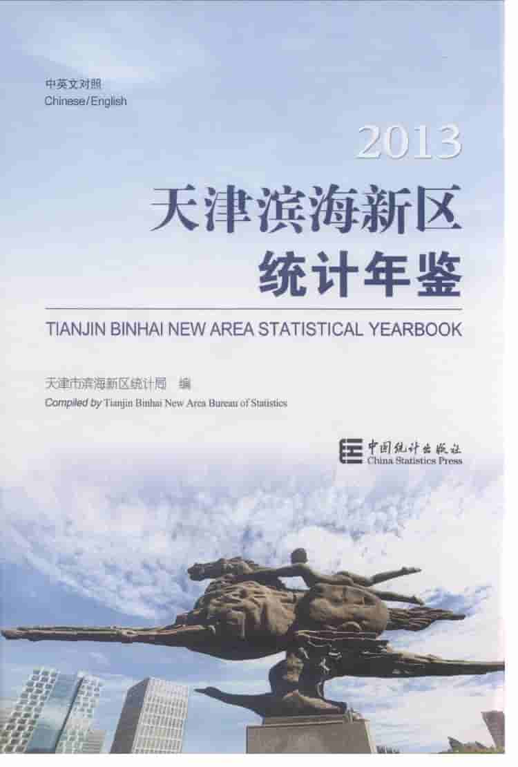 2013年天津滨海新区统计年鉴封面