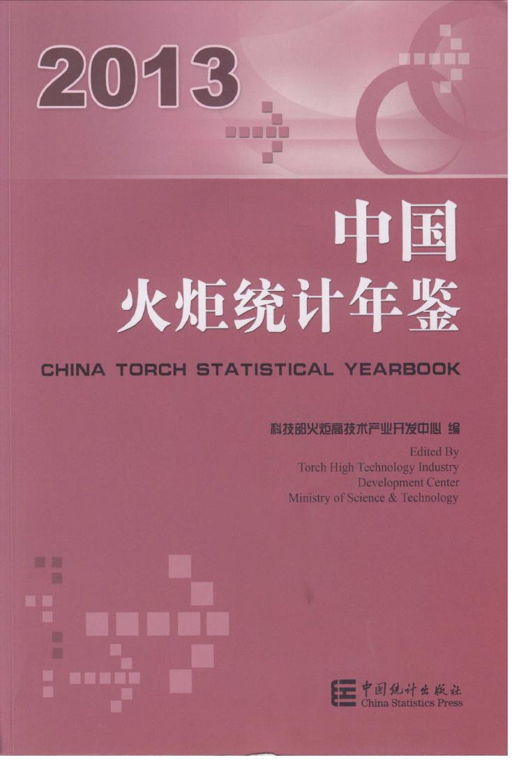 2013年中国火炬统计年鉴封面