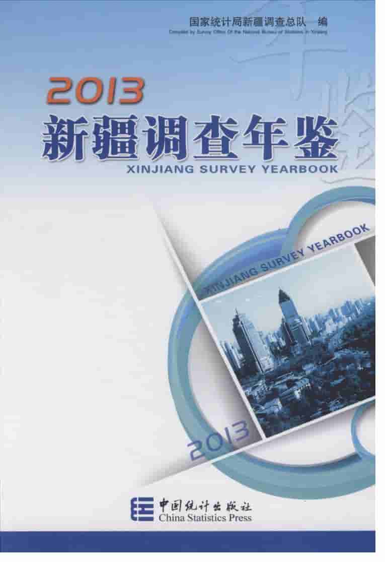 2013年新疆调查年鉴封面