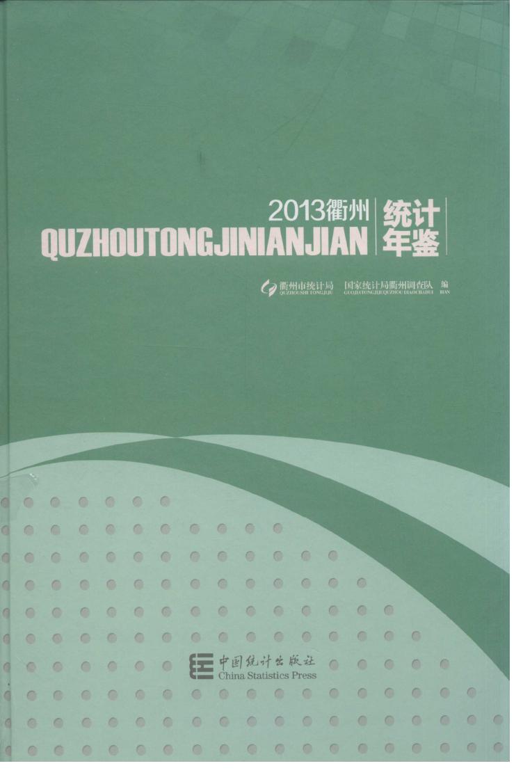 2013年衢州统计年鉴封面