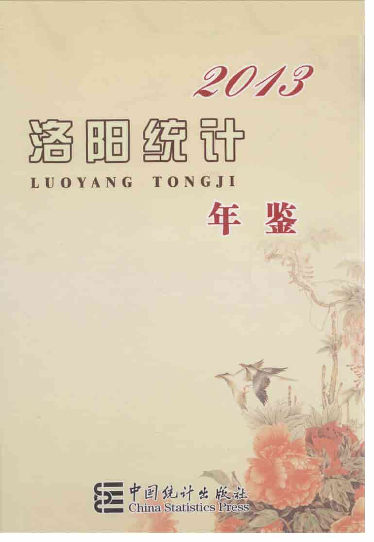 2013年洛阳统计年鉴封面