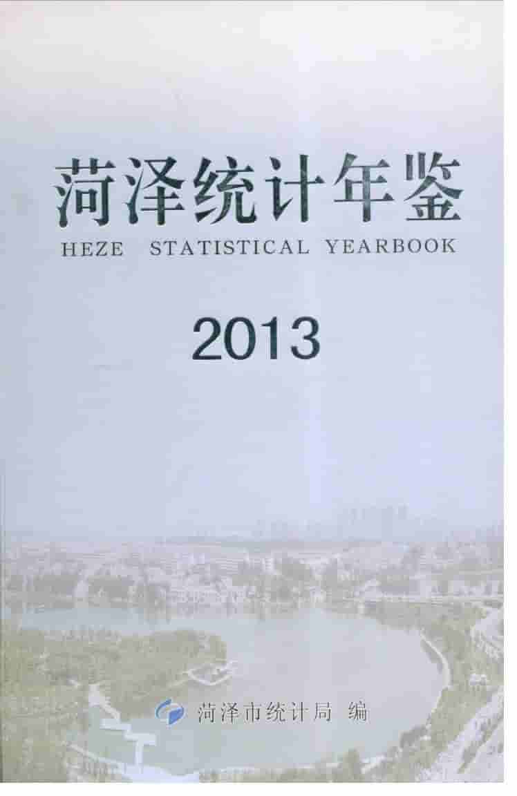 2013年菏泽统计年鉴封面