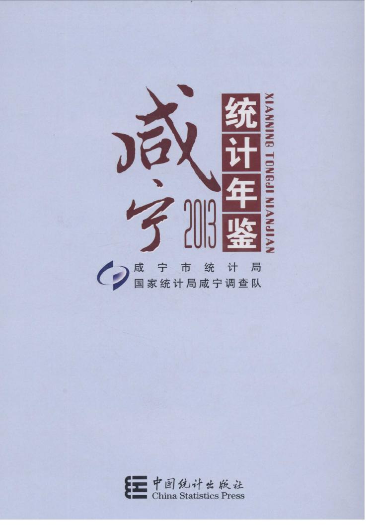 2013年咸宁统计年鉴封面