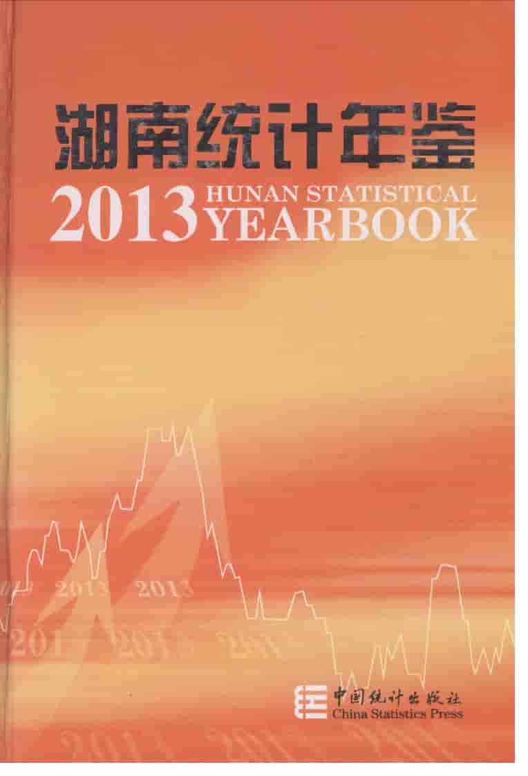 2013年湖南统计年鉴封面