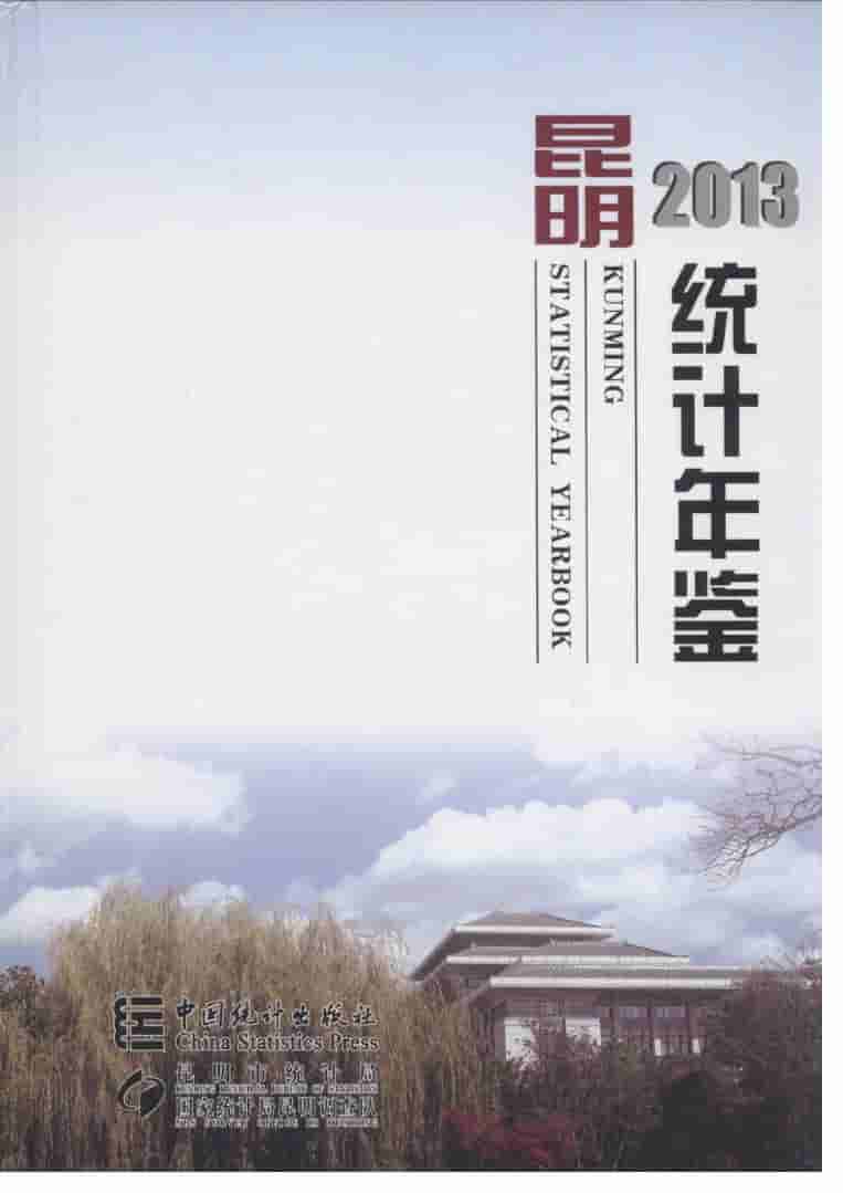 2013年昆明统计年鉴封面